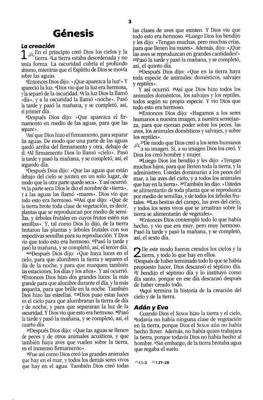Biblia devocional matrimonial
