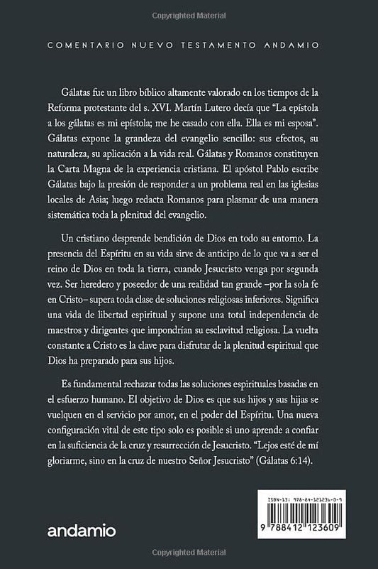 Comentario Andamio Gálatas / Esteban Rodemann