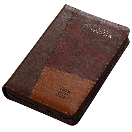 Biblia manual letra gigante RVR60 con indice y cierre – Iconic Tricolor Café