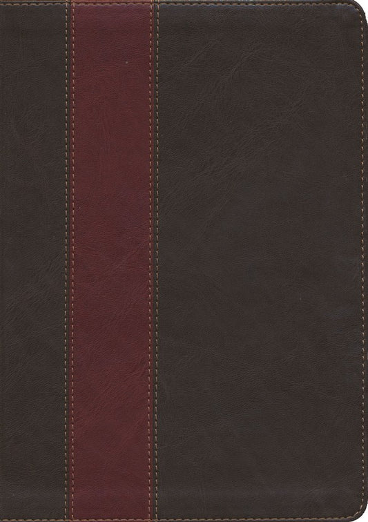 Biblia de estudio diario vivir NTV piel café / café claro