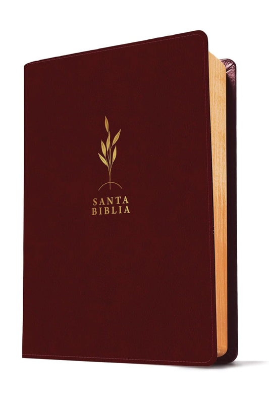 Biblia de Estudio Diario Vivir Letra grande RVR60 – Vino tinto