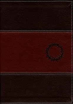 Biblia de Estudio Diario Vivir Letra Grande NTV – Café y café claro