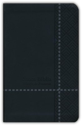 Biblia de promesas Mediana letra grande / RV1960