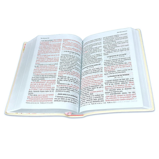 Biblia Inspiración Mujer  Letra Grande  / Tapa Vinil / Lila Floral / RV1960