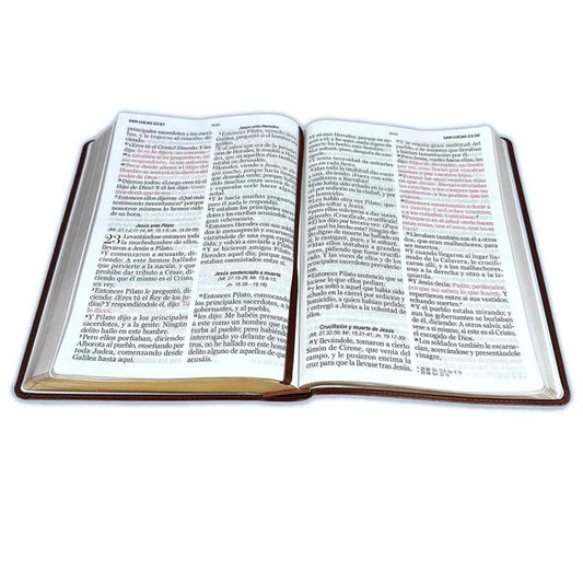 Biblia Letra Súper Gigante 19 puntos RV1960 imit piel café oscuro