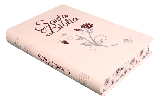 Biblia letra grande con indice / RV1960