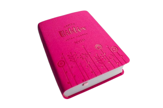 Biblia – Letra Grande – Compacta – Fucsia