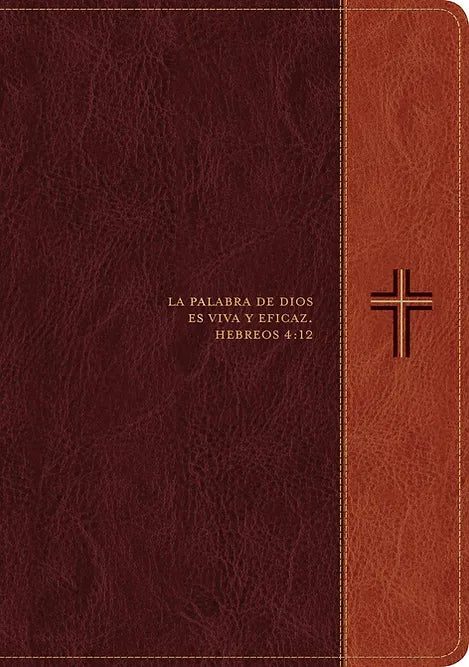 Biblia de Estudio: Diario Vivir / Letra Grande / Café / RV1960
