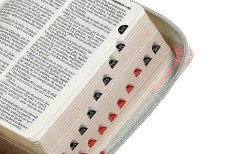 Biblia De Bolsillo Con Cierre RV1960, Imit Tricolor Rosa- Verde- Fucsia Con Índice/ Mundo Biblia