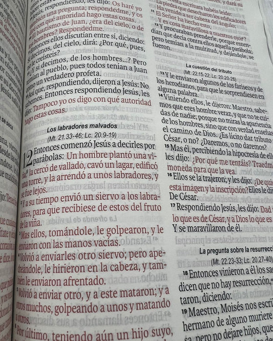 Biblia exquisita RVR60 – Flores otoñales con broche – Imitación Piel