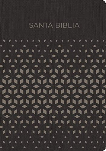 Santa Biblia para Regalos y Premios Negro- Plata / RV1960