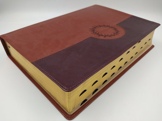 Biblia de estudio Diario Vivir NTV Letra Grande i/piel Café - Café con índice