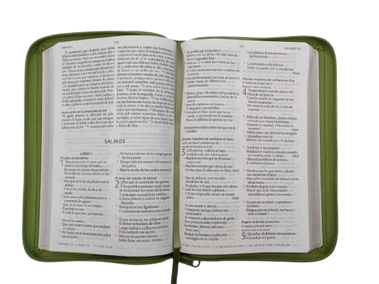 Biblia Letra Grande / Símil Piel Verde con Cremallera / RV1960