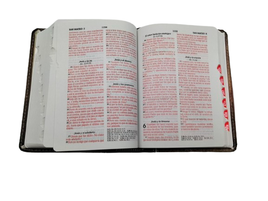 Biblia de bolsillo letra mediana RV1960 / Roja con índice