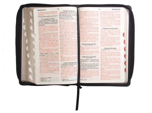 Biblia letra grande con cierre e índice negro RV1960