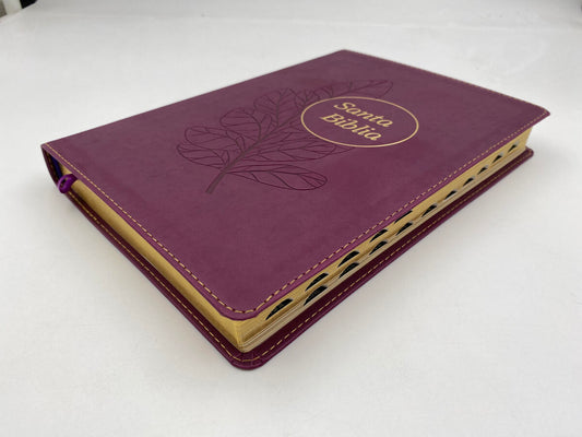 Biblia de referencia ultra fina letra grande - RVR60 – Ciruela