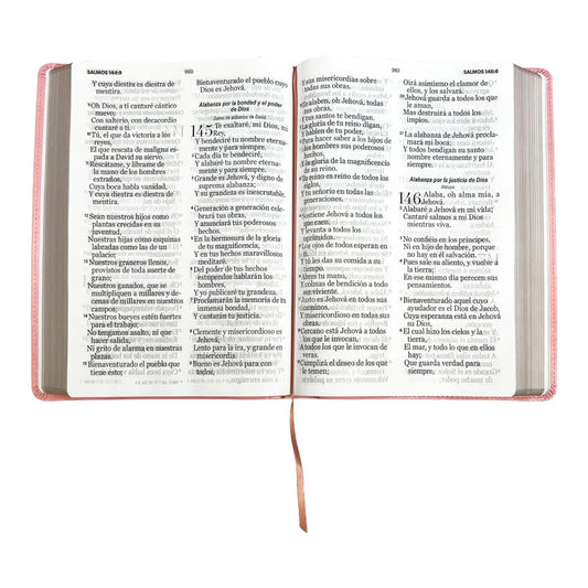 Biblia Letra Súper Gigante 19 puntos RV1960 imit piel rosa