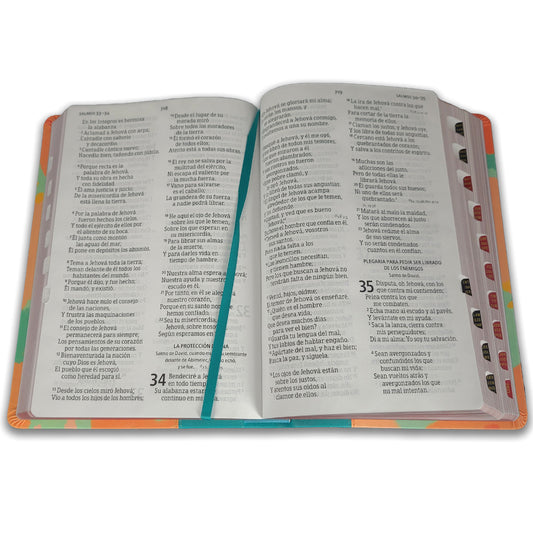 Biblia de letra gigante 14 Pts RV1960 con índice