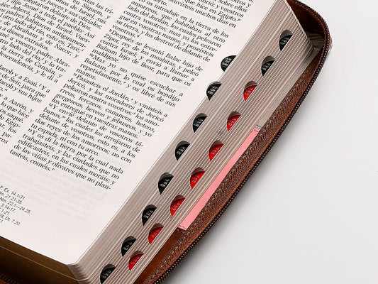 Biblia Con Cierre Letra Grande 12 Puntos RV1960, Imit. Floral Rosa- Gris- Marrón Con Índice/ Mundo Biblia