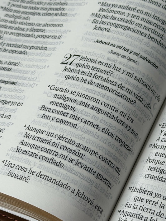 Biblia exquisita RVR60 – Café/Café geométrico con broche / Imitación Piel