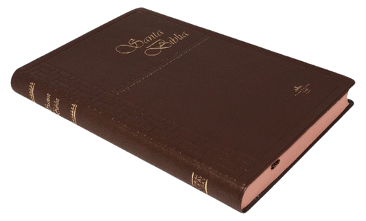 Biblia RVR062 Mediana Vinil Café / RV1960