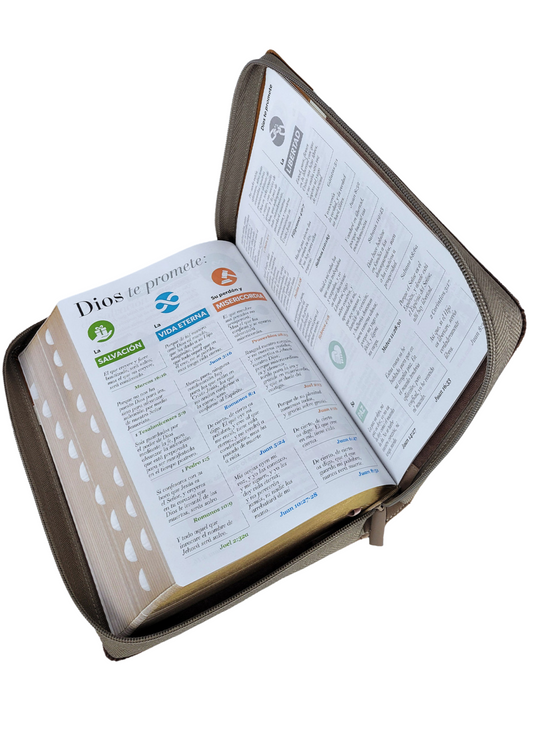 Biblia manual letra súper gigante RV1960 con con índice y cierre - Iconic Tricolor Cafe Miel Beige
