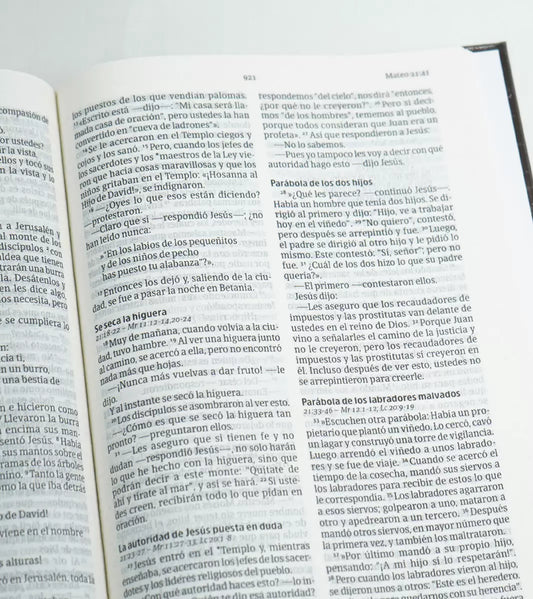 Biblia letra grande NVI 2022 – Figuras – Tapa dura