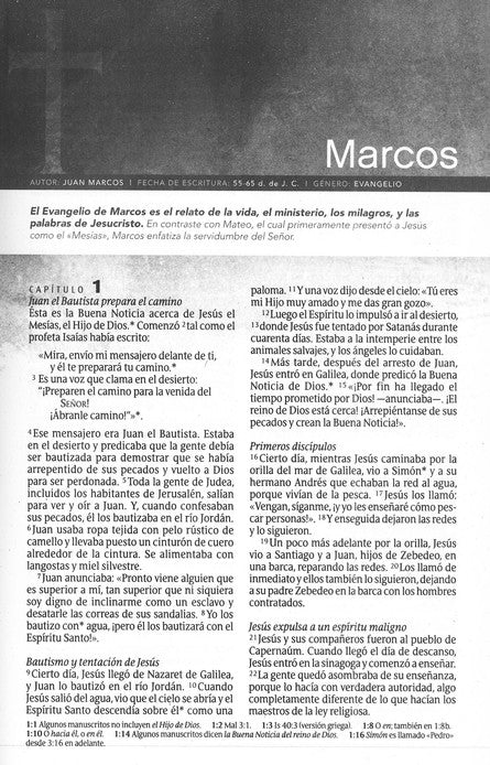 Biblia para nuevos creyentes Nuevo Testamento NTV