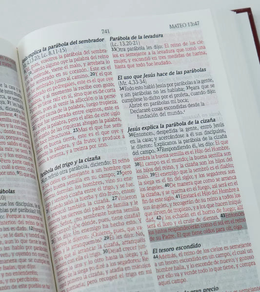 Biblia de promesas económica RVR60 – Vino – Tapa dura