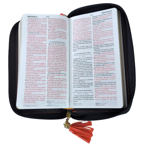 Biblia chequera RVR60 – Horizonte coral gris – Cierre