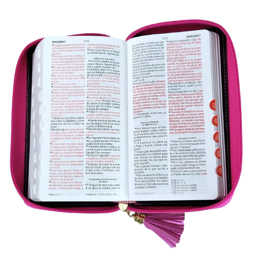 Biblia chequera RVR60 – Contempo tricolor rosa – Cierre – Índice