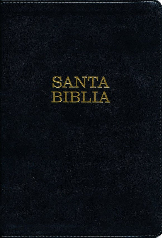 Biblia NTV - letra súper gigante - negro