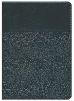 Biblia de estudio Ryrie ampliada / Negro-indice / RV1960