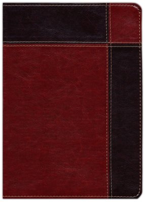 Biblia de estudio Ryrie Ampliada / Duotono / RV1960