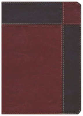 Biblia de estudio Ryrie Ampliada / Duotono-indice / RV1960