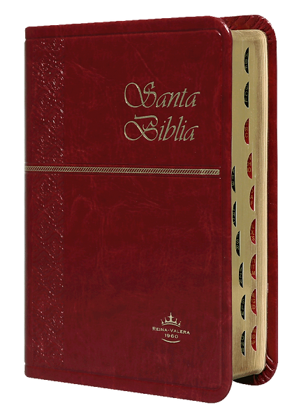 Biblia Compacta RoseMary / Vino – Índice / RV1960