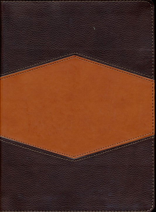 Biblia de Estudio Holman Terracota / RV1960