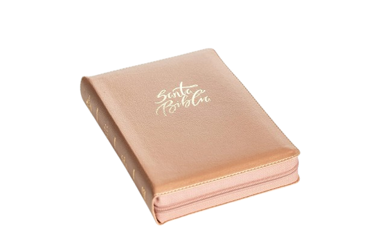 Biblia Holman manual letra gigante RVR60 – Rosa perla – Cierre – Índice