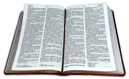Biblia Manual Letra Grande 12 puntos RV1960, imit duotono Marrón y café/ Mundo Biblia