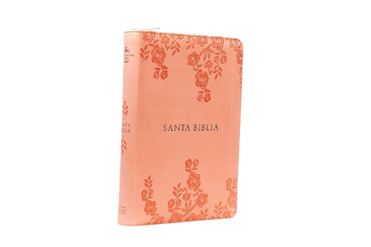 Biblia Holman letra grande RVR60 – Coral – Cierre – Índice