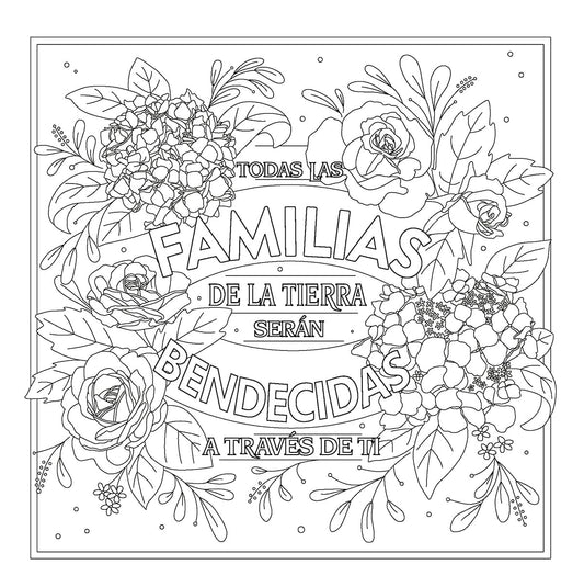 Las mujeres de la Biblia nos hablan: Libro de colorear/ Shannon Bream