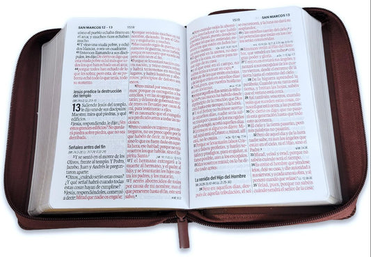 Biblia con Cierre Portátil Letra Grande 12 puntos RV1960, imit piel café geométrico/ Mundo Biblia