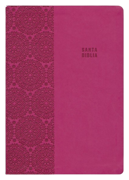 Biblia Reina Valera 1909 letra súper gigante - Fucsia