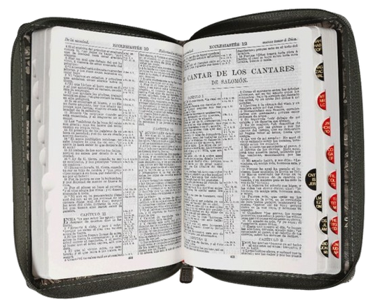 Biblia Chica Imitación Plata Flores / Cierre e Indice / RV1909