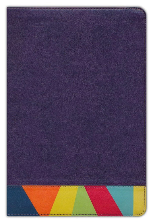 Biblia de Estudio Arco Iris / Morado / Multicolor / RV1960