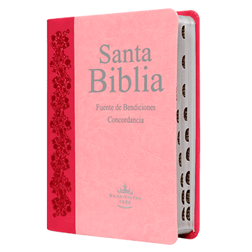 Biblia Fuente de Bendiciones / Indice y Concordancia / Rosa / RVR1960