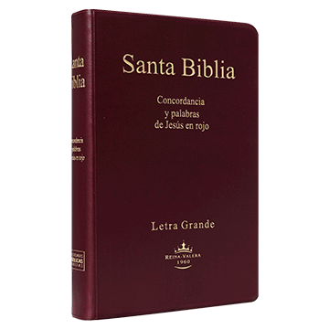 Biblia RVR062CLGPJR Mediana Letra Grande Vinil Color Vino / RV1960