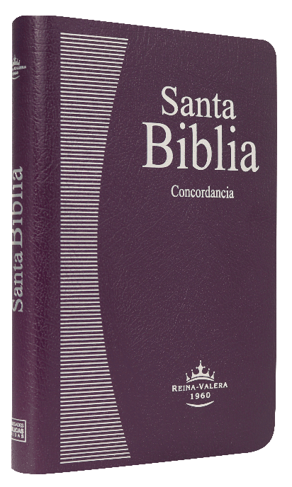 Biblia manual, morada imitacion piel/ RV1960