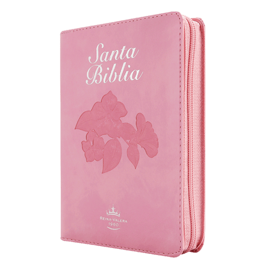 Biblia Fuente de Bendiciones RV 1960 Chica Letra Mediana Imitación Piel Rosa