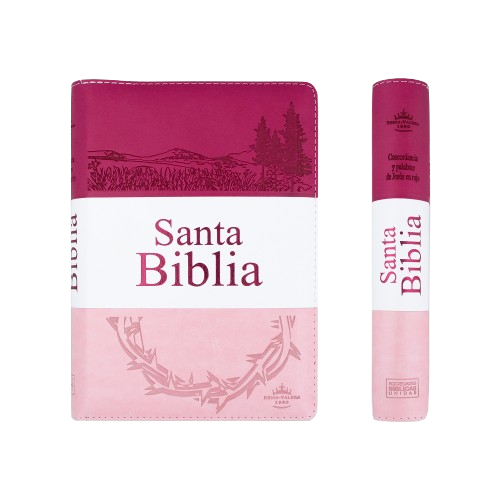 Biblia letra grande Rosa con indice y cierre / RV1960